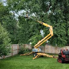 Best Lawn Watering Services  in Madera Ranchos, CA